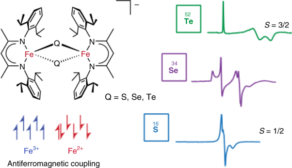 Stabilization of intermediate spin states in mixed-valent diiron dichalcogenide complexes