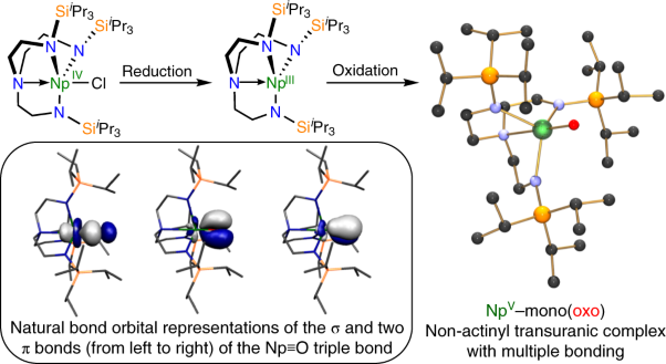 A terminal neptunium(V)–mono(oxo) complex