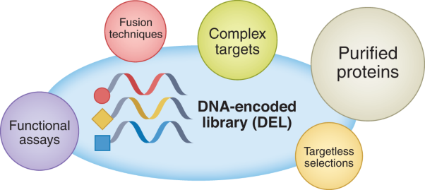 Strategies for developing DNA-encoded libraries beyond binding assays