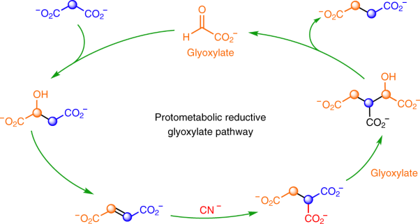 Cyanide as a primordial reductant enables a protometabolic reductive glyoxylate pathway