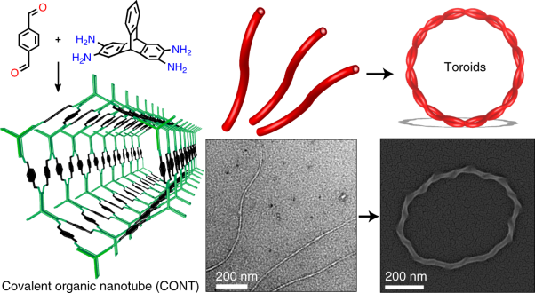 Porous covalent organic nanotubes and their assembly in loops and toroids
