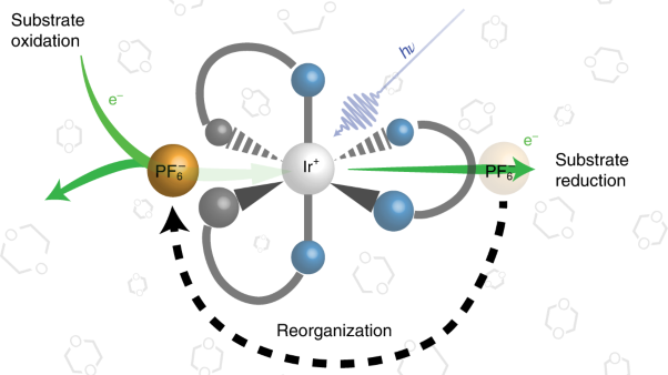 Ion-pair reorganization regulates reactivity in photoredox catalysts