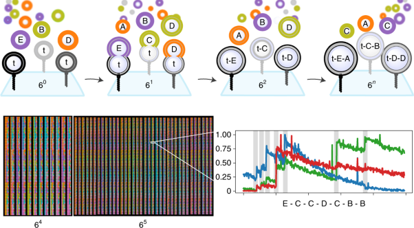 Single-particle combinatorial multiplexed liposome fusion mediated by DNA