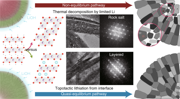 In situ multiscale probing of the synthesis of a Ni-rich layered oxide cathode reveals reaction heterogeneity driven by competing kinetic pathways