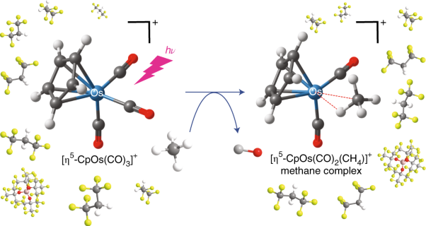 Binding methane to a metal centre
