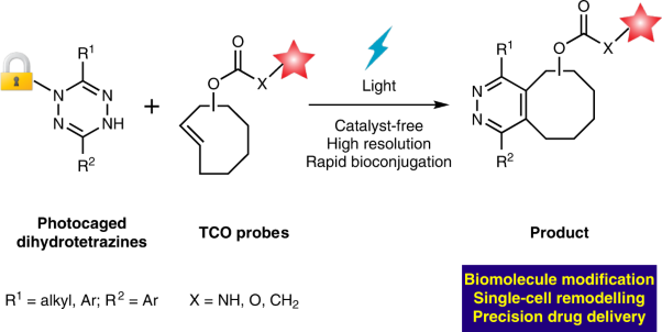 Light-activated tetrazines enable precision live-cell bioorthogonal chemistry