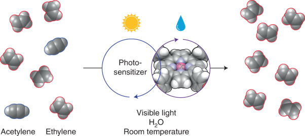 Selective visible-light photocatalysis of acetylene to ethylene using a cobalt molecular catalyst and water as a proton source