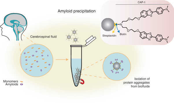 Structure-specific amyloid precipitation in biofluids