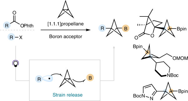 Exploiting the <i>sp</i><sup>2</sup> character of bicyclo[1.1.1]pentyl radicals in the transition-metal-free multi-component difunctionalization of [1.1.1]propellane