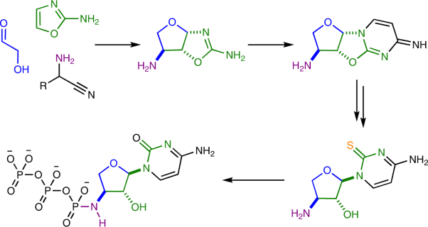 Prebiotic synthesis and triphosphorylation of 3′-amino-TNA nucleosides