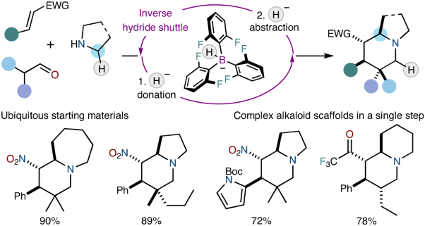 Inverse hydride shuttle catalysis enables the stereoselective one-step synthesis of complex frameworks