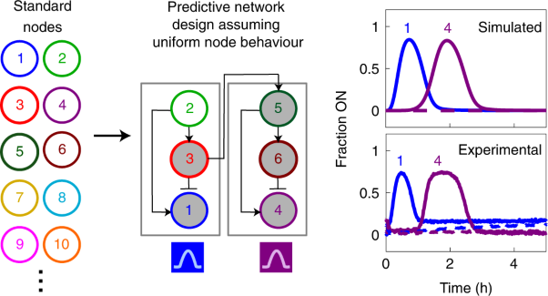Standardized excitable elements for scalable engineering of far-from-equilibrium chemical networks