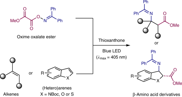 Photochemical single-step synthesis of β-amino acid derivatives from alkenes and (hetero)arenes
