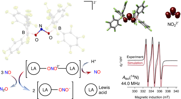 Lewis acid-assisted reduction of nitrite to nitric and nitrous oxides via the elusive nitrite radical dianion