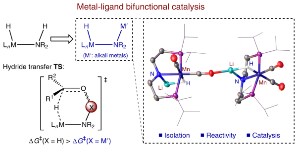 Structure, reactivity and catalytic properties of manganese-hydride amidate complexes