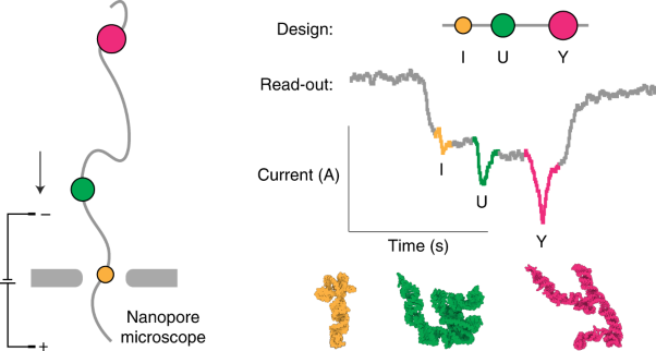 Nanopore microscope identifies RNA isoforms with structural colours