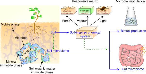 A soil-inspired dynamically responsive chemical system for microbial modulation