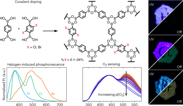 Efficient room-temperature phosphorescence of covalent organic frameworks through covalent halogen doping