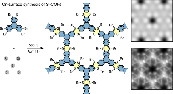 On-surface synthesis of disilabenzene-bridged covalent organic frameworks