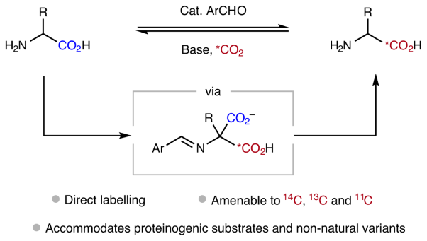 Aldehyde-catalysed carboxylate exchange in α-amino acids with isotopically labelled CO<sub>2</sub>