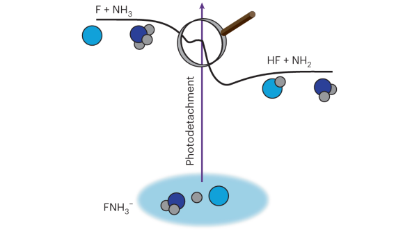 Observation of resonances in the transition state region of the F + NH<sub>3</sub> reaction using anion photoelectron spectroscopy