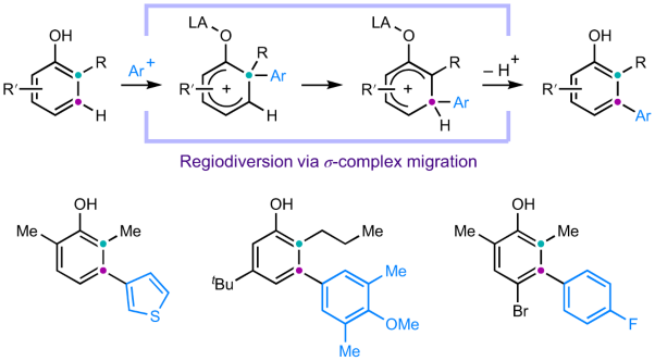 <i>meta</i>-Selective C–H arylation of phenols via regiodiversion of electrophilic aromatic substitution