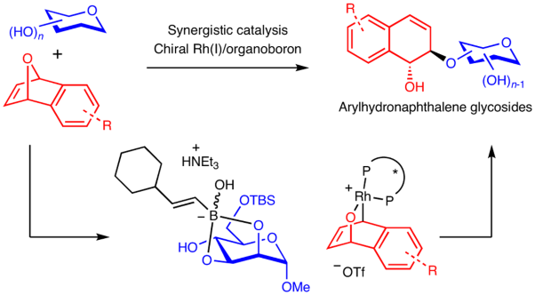 A synergistic Rh(I)/organoboron-catalysed site-selective carbohydrate functionalization that involves multiple stereocontrol