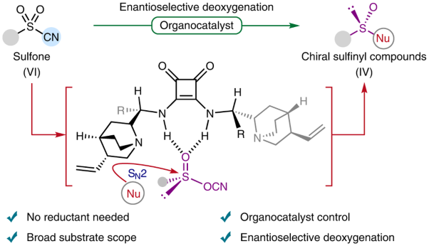 Organocatalytic asymmetric deoxygenation of sulfones to access chiral sulfinyl compounds