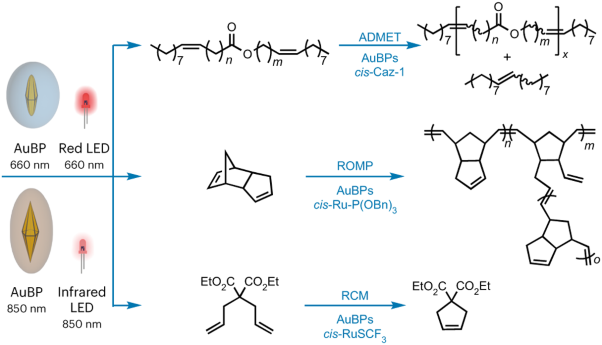 Plasmonic visible–near infrared photothermal activation of olefin metathesis enabling photoresponsive materials