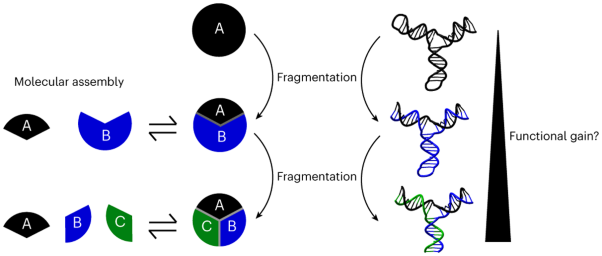 Functional advantages of building nanosystems using multiple molecular components