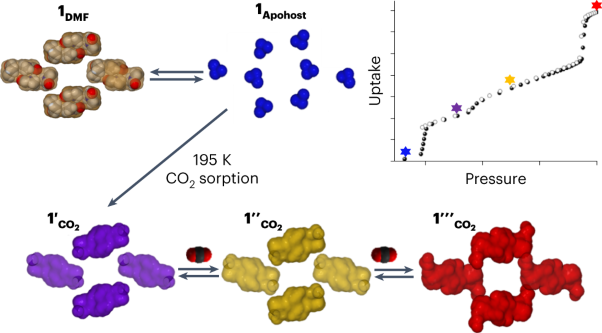 Reversible transformations between the non-porous phases of a flexible coordination network enabled by transient porosity