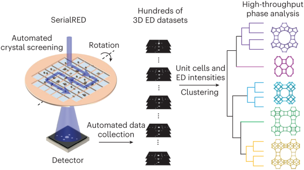 High-throughput phase elucidation of polycrystalline materials using serial rotation electron diffraction