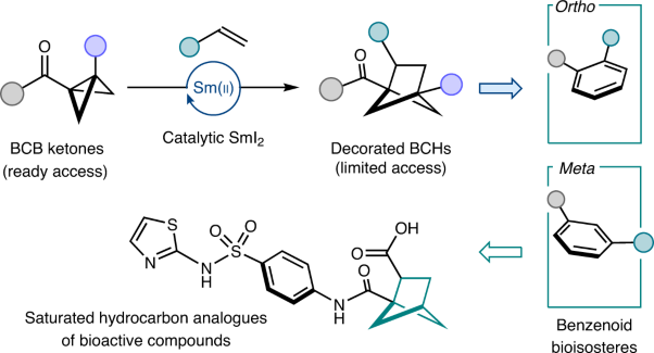 A catalytic alkene insertion approach to bicyclo[2.1.1]hexane bioisosteres