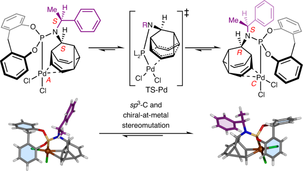 Control of dynamic <i>sp</i><sup>3</sup>-C stereochemistry