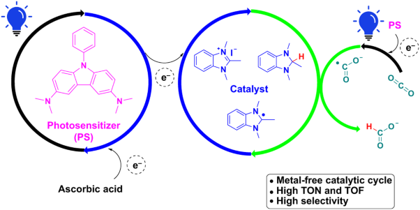 Metal-free reduction of CO<sub>2</sub> to formate using a photochemical organohydride-catalyst recycling strategy