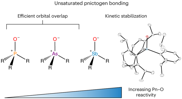 Isolation, bonding and reactivity of a monomeric stibine oxide