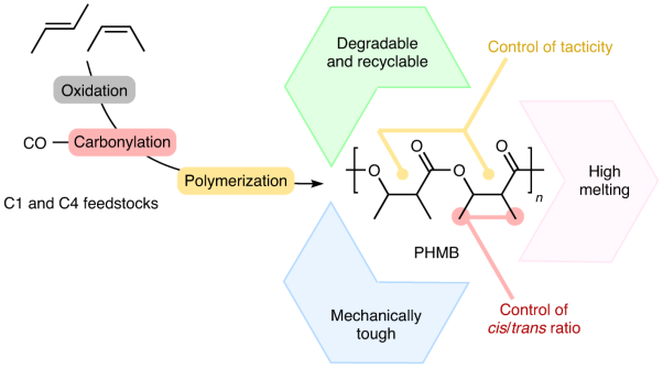 Nature-inspired methylated polyhydroxybutyrates from C1 and C4 feedstocks