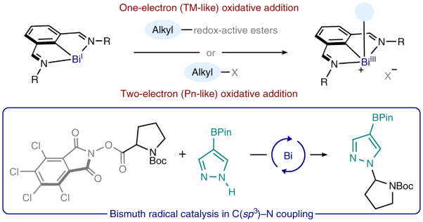 Bismuth radical catalysis in the activation and coupling of redox-active electrophiles
