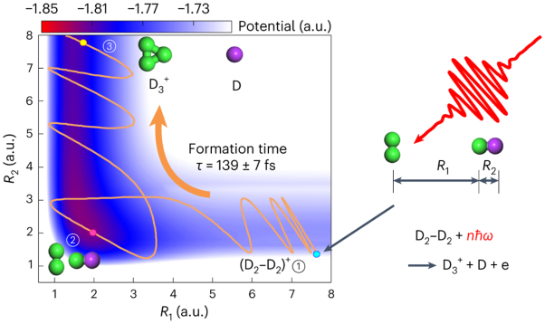 Ultrafast formation dynamics of D<sub>3</sub><sup>+</sup> from the light-driven bimolecular reaction of the D<sub>2</sub>–D<sub>2</sub> dimer