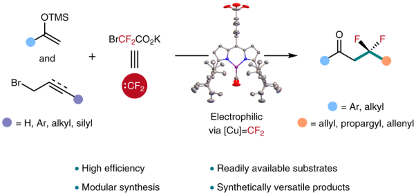 Copper-catalysed difluorocarbene transfer enables modular synthesis