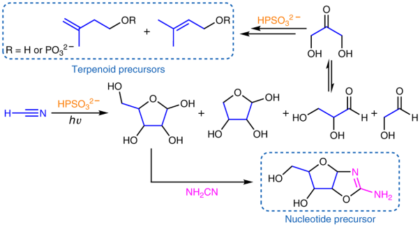 Thiophosphate photochemistry enables prebiotic access to sugars and terpenoid precursors
