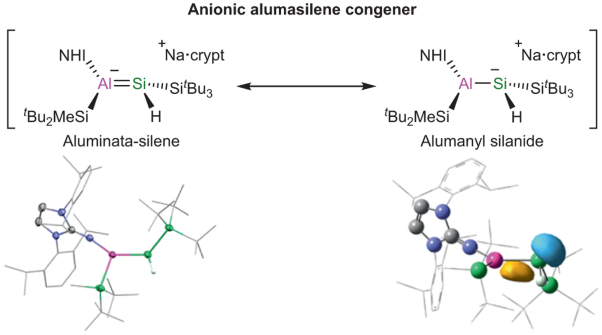 Anions featuring an aluminium–silicon core with alumanyl silanide and aluminata-silene characteristics