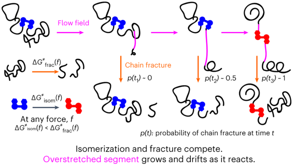 Experimental quantitation of molecular conditions responsible for flow-induced polymer mechanochemistry