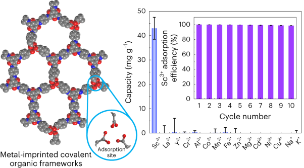 Selective scandium ion capture through coordination templating in a covalent organic framework