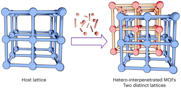 Hetero-interpenetrated metal–organic frameworks