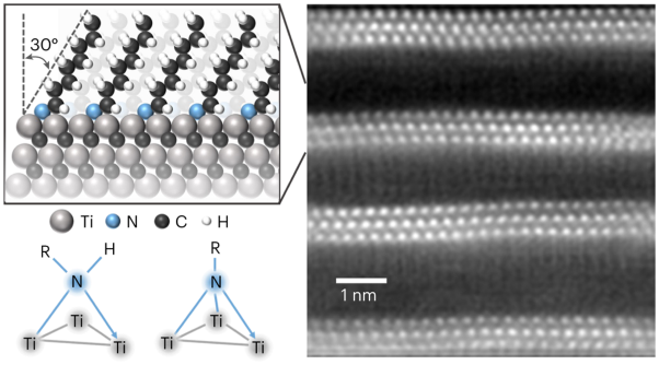 Hybrid organic–inorganic two-dimensional metal carbide MXenes with amido- and imido-terminated surfaces