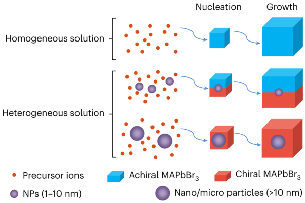 Nucleation-mediated growth of chiral 3D organic–inorganic perovskite single crystals