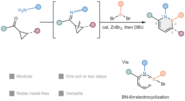 Modular synthesis of 1,2-azaborines via ring-opening BN-isostere benzannulation