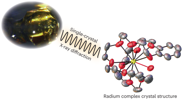 Structure and bonding of a radium coordination compound in the solid state