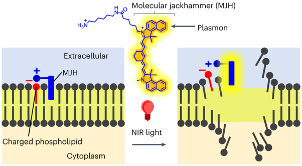 Molecular jackhammers eradicate cancer cells by vibronic-driven action